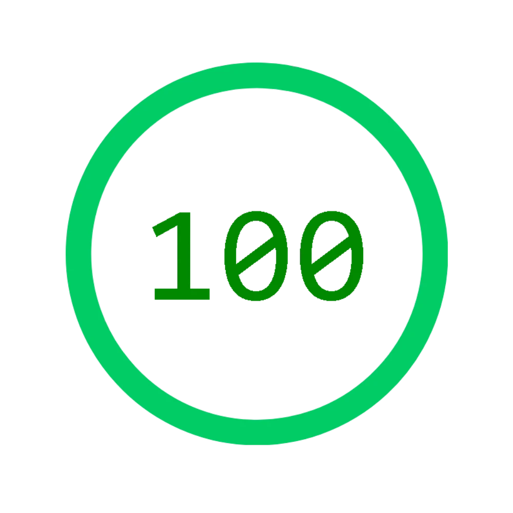Page speed Insight scale showing 100